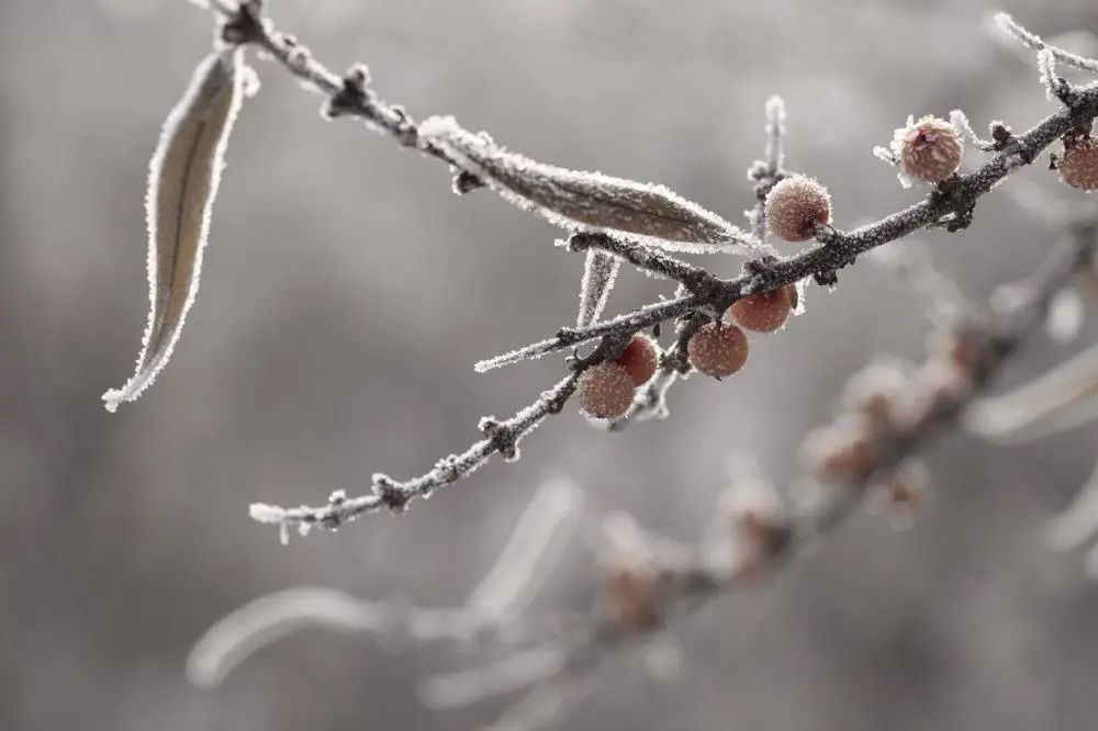 微信圖片_20221015090306.jpg 微信圖片_20221015090306.jpg