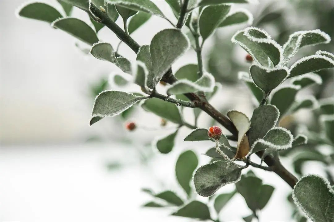 微信圖片_20221024085034.jpg 微信圖片_20221024085034.jpg