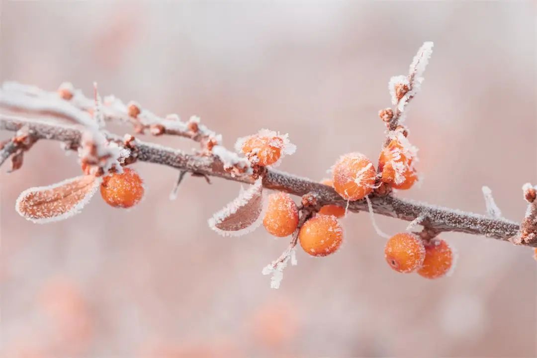 微信圖片_20230128084021.jpg 微信圖片_20230128084021.jpg